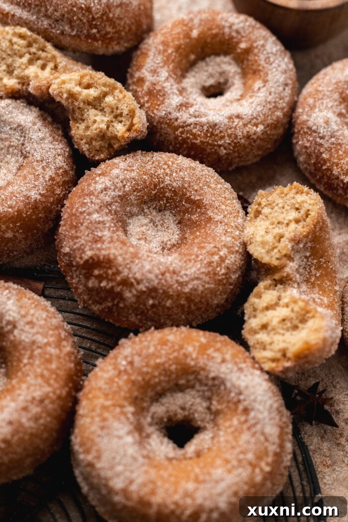 baked vegan apple cider donuts cooling on a rack, showcasing their fluffy texture