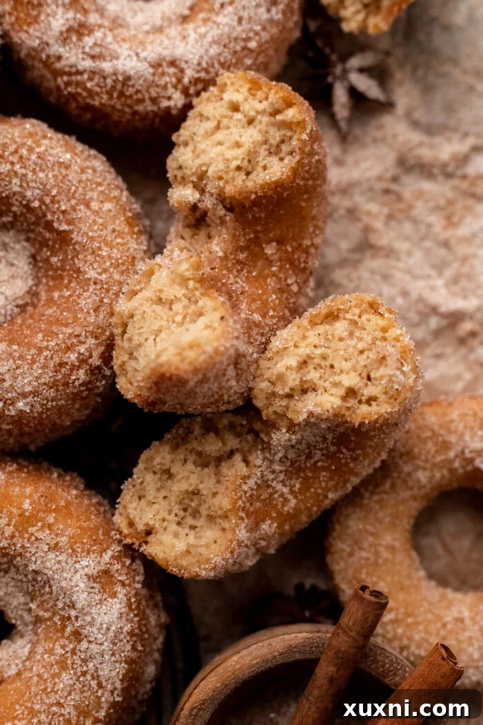 a broken open vegan apple cider donut revealing its moist, cakey interior and uniform texture