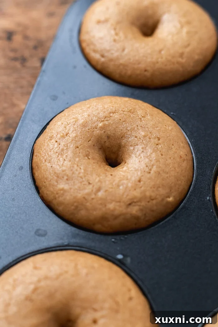 freshly baked vegan apple cider donuts in the pan, golden brown and perfectly risen