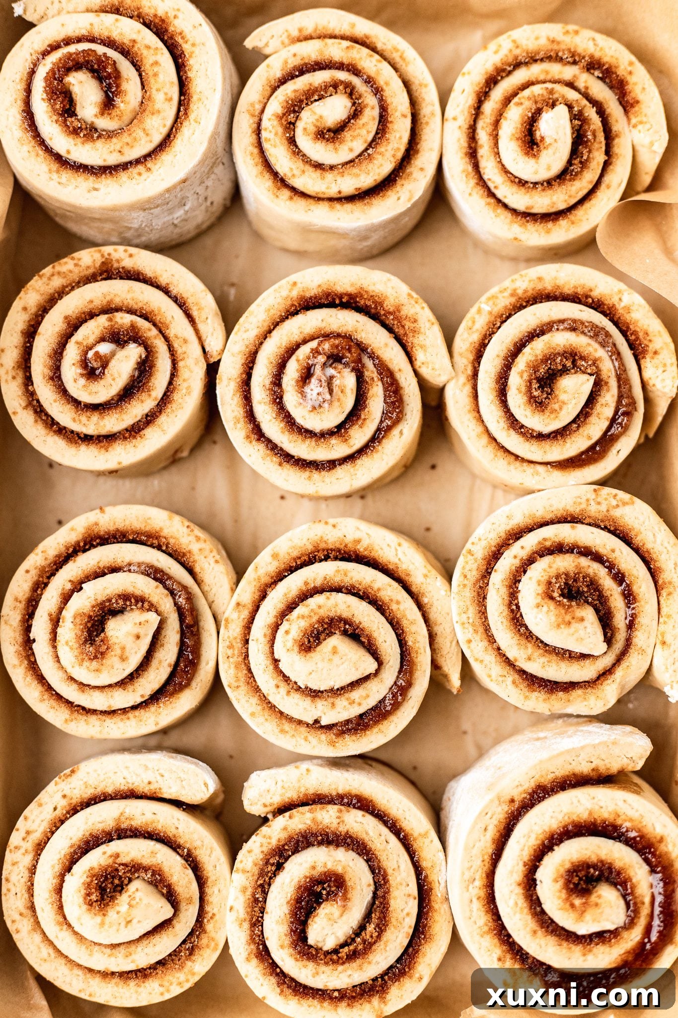 cinnamon rolls before rising