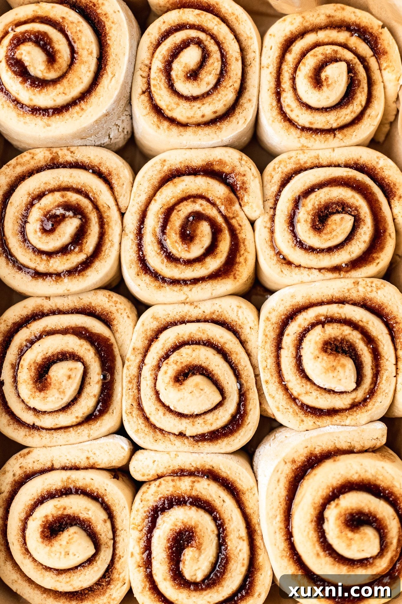 cinnamon rolls after rising