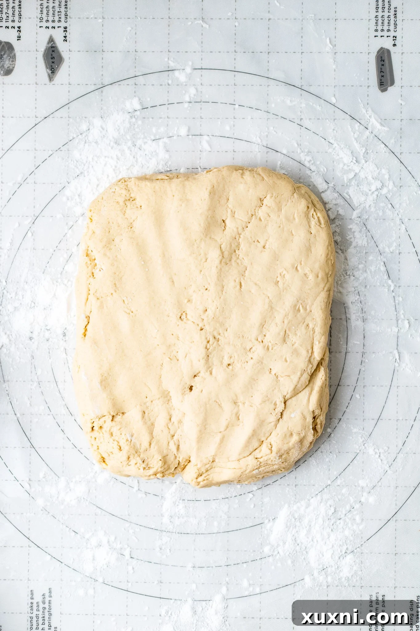 gluten free dough before rolling