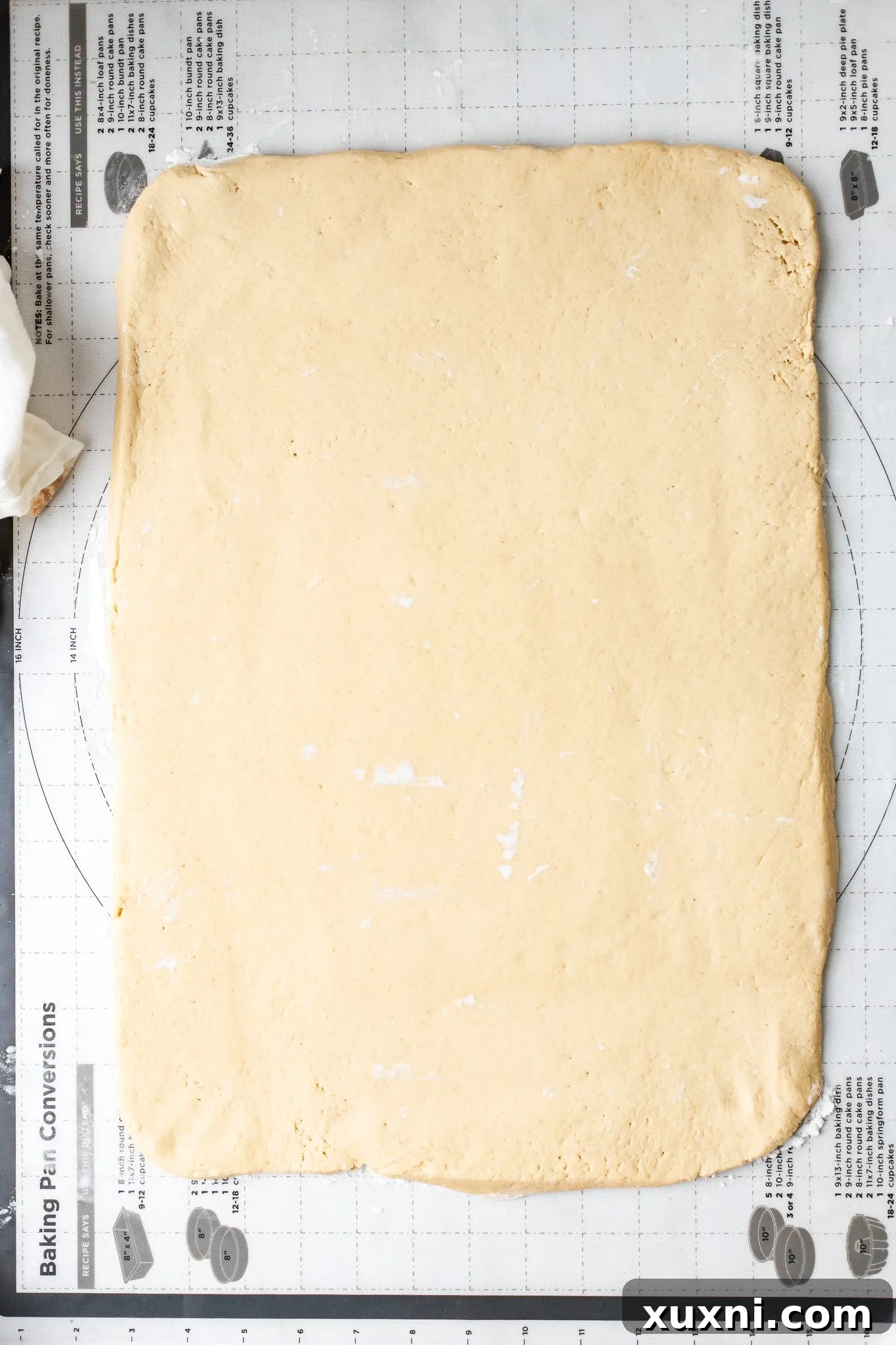 cinnamon roll dough rolled out