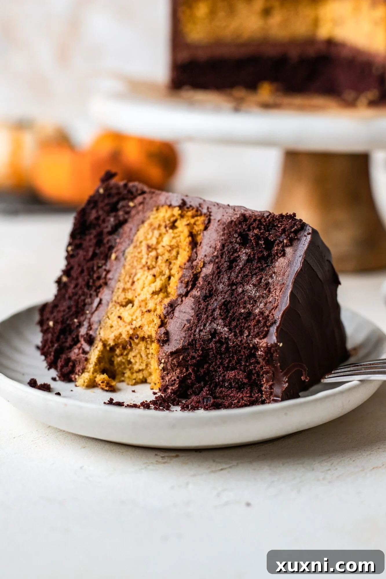 Close-up of a slice of vegan pumpkin cake with layers