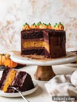 vegan chocolate pumpkin cake