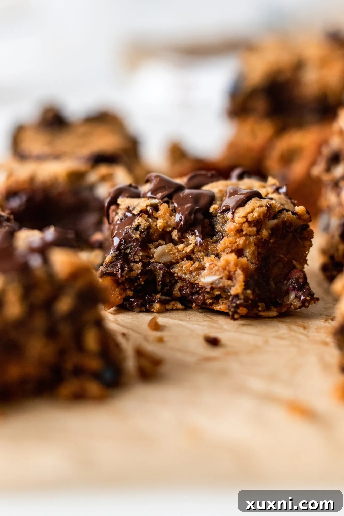 bitten monster cookie