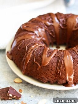 Delicious Vegan & Gluten-Free Chocolate Bundt Cake