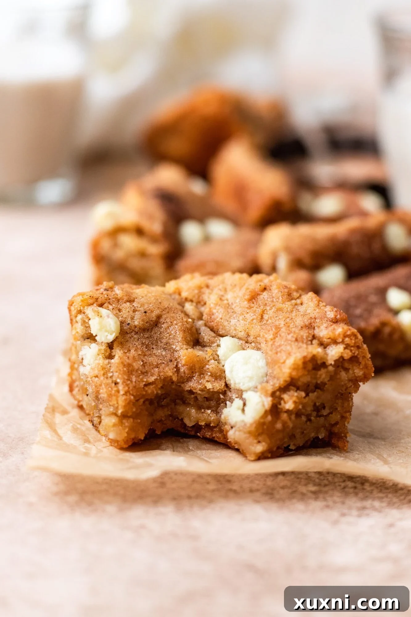 Chewy Vegan Snickerdoodle Blondies - A delightful cinnamon-sugar dessert bar