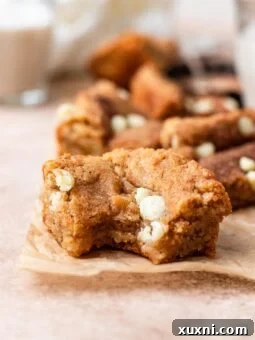 Chewy Vegan Snickerdoodle Blondies