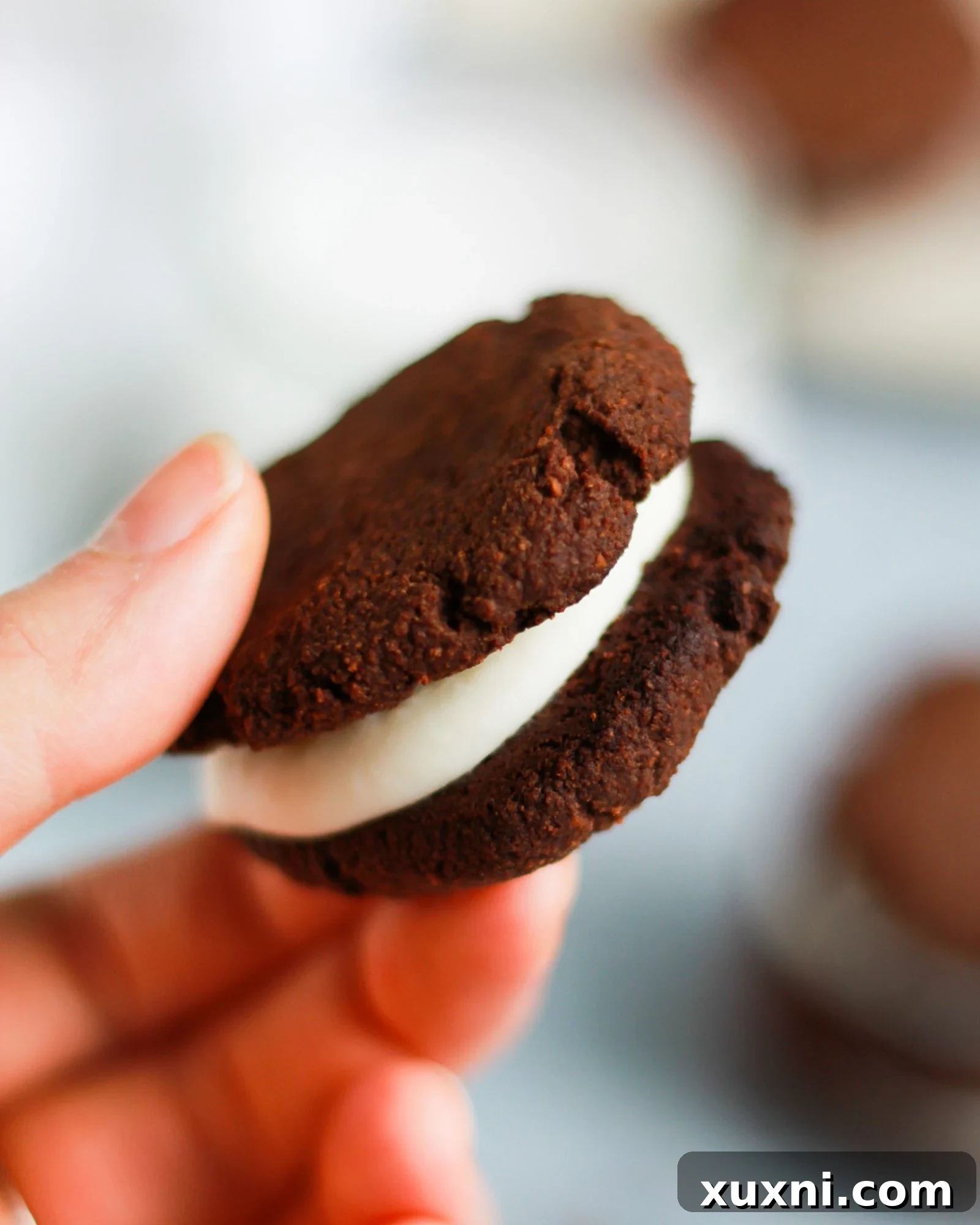 close up of paleo vegan oreo