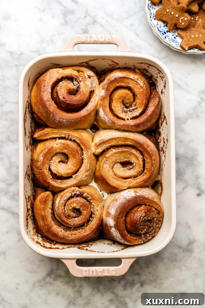 Baked gingerbread cinnamon rolls, golden brown and bubbling, fresh from the oven.