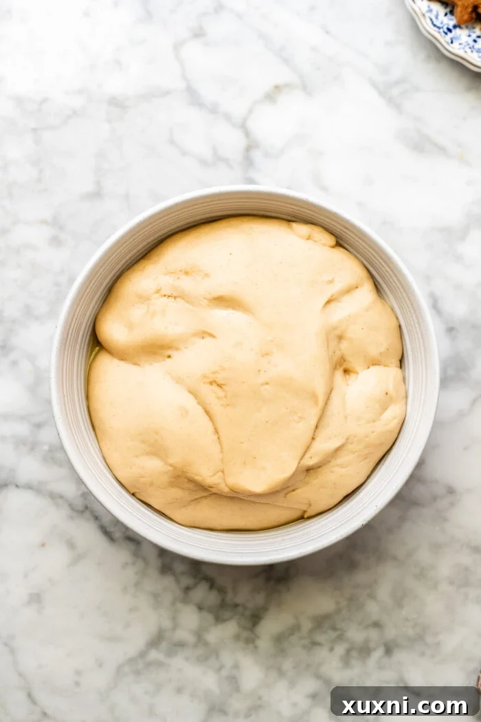 Kneaded gingerbread cinnamon roll dough in a bowl, after its first proof, doubled in size.