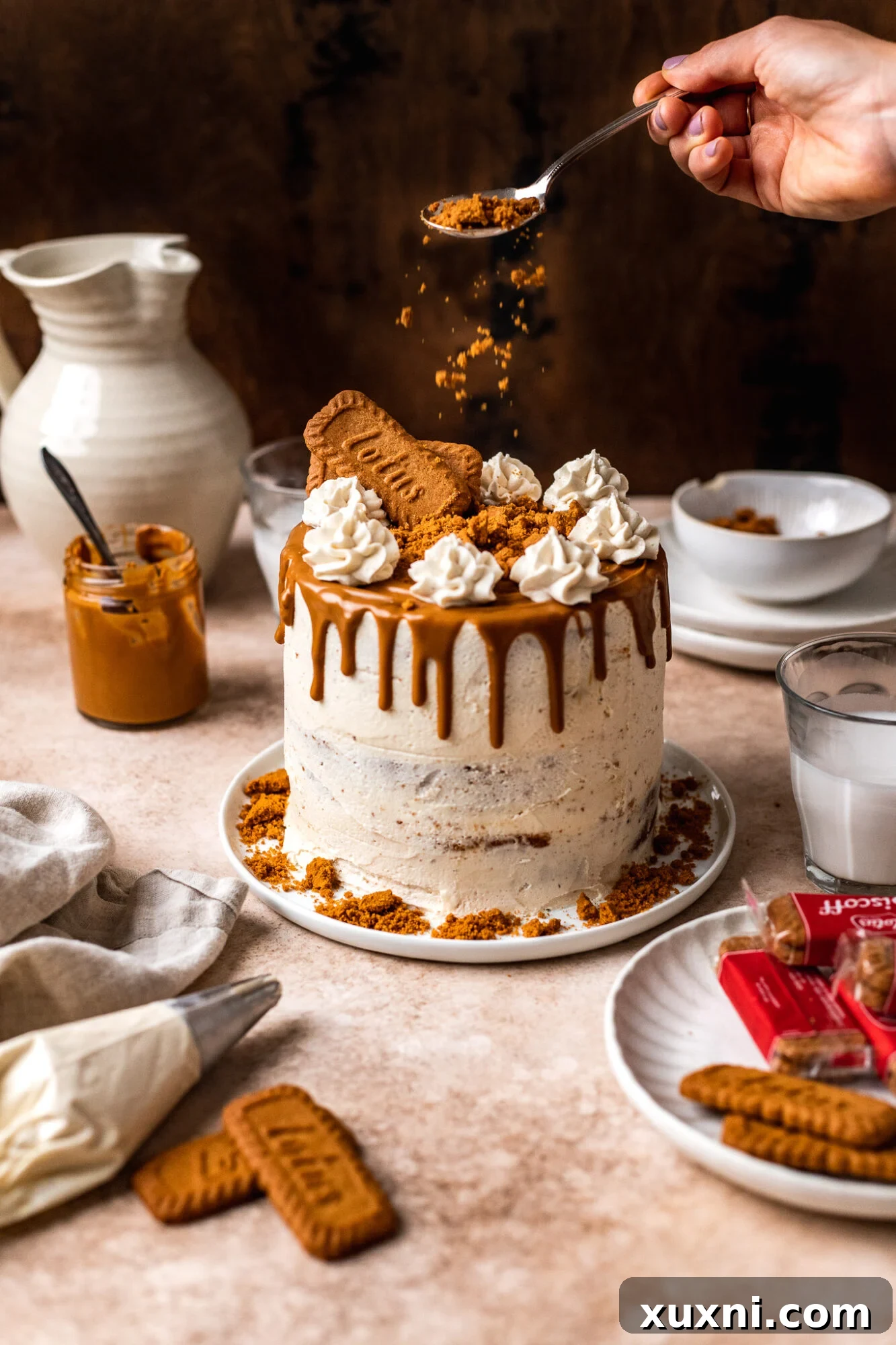 Best Ever Vegan Biscoff Cake (Gluten Free Option)