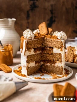 Best Ever Vegan Biscoff Cake (Gluten Free Option)