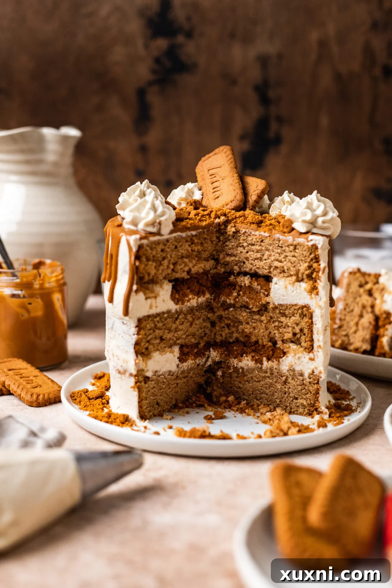 Best Ever Vegan Biscoff Cake (Gluten Free Option)