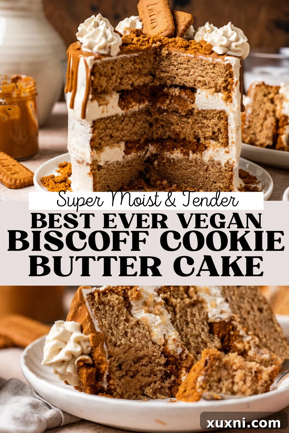Best Ever Vegan Biscoff Cake (Gluten Free Option)