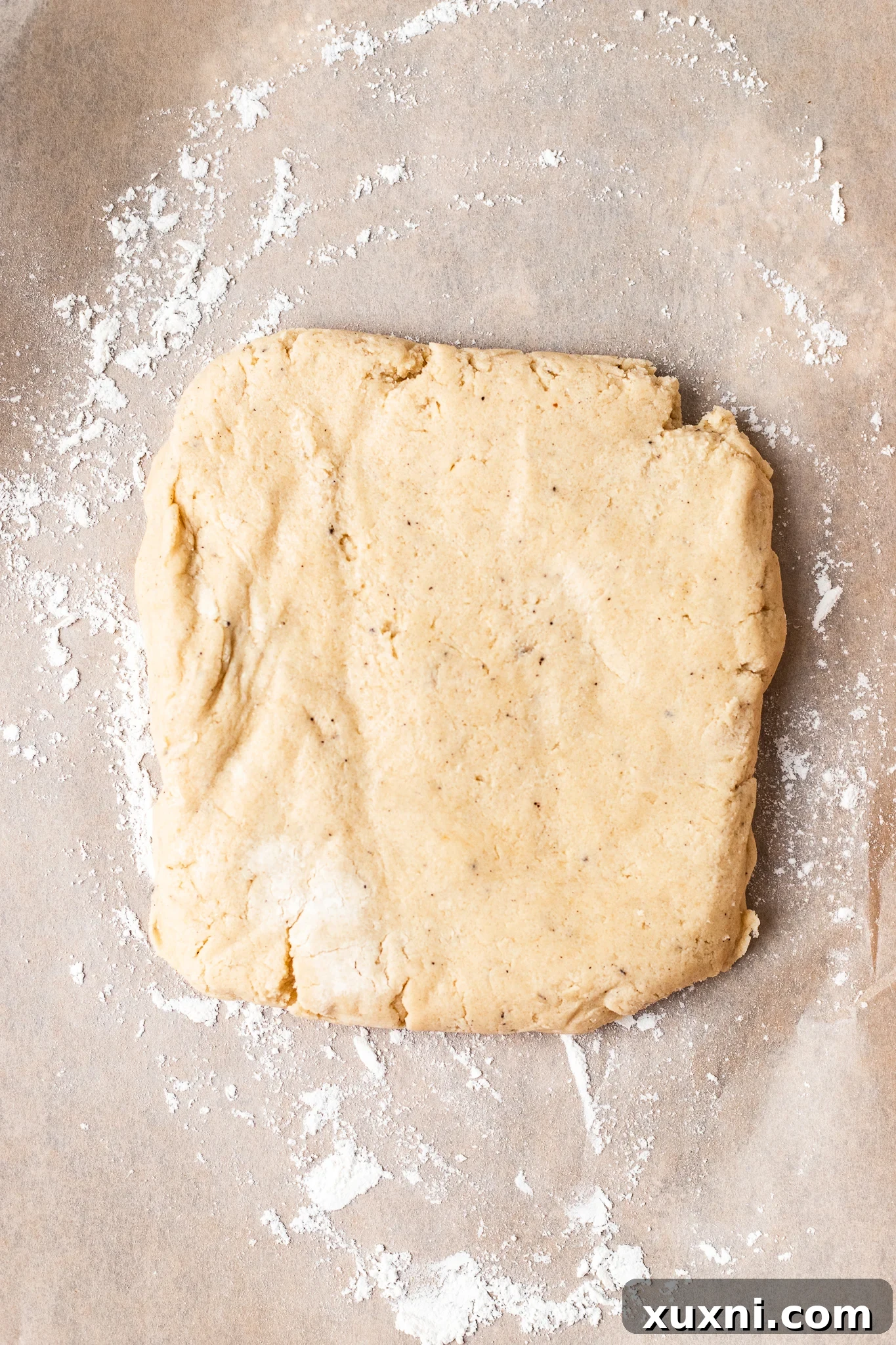 Chilled vegan Linzer cookie dough, perfectly firm and ready for rolling
