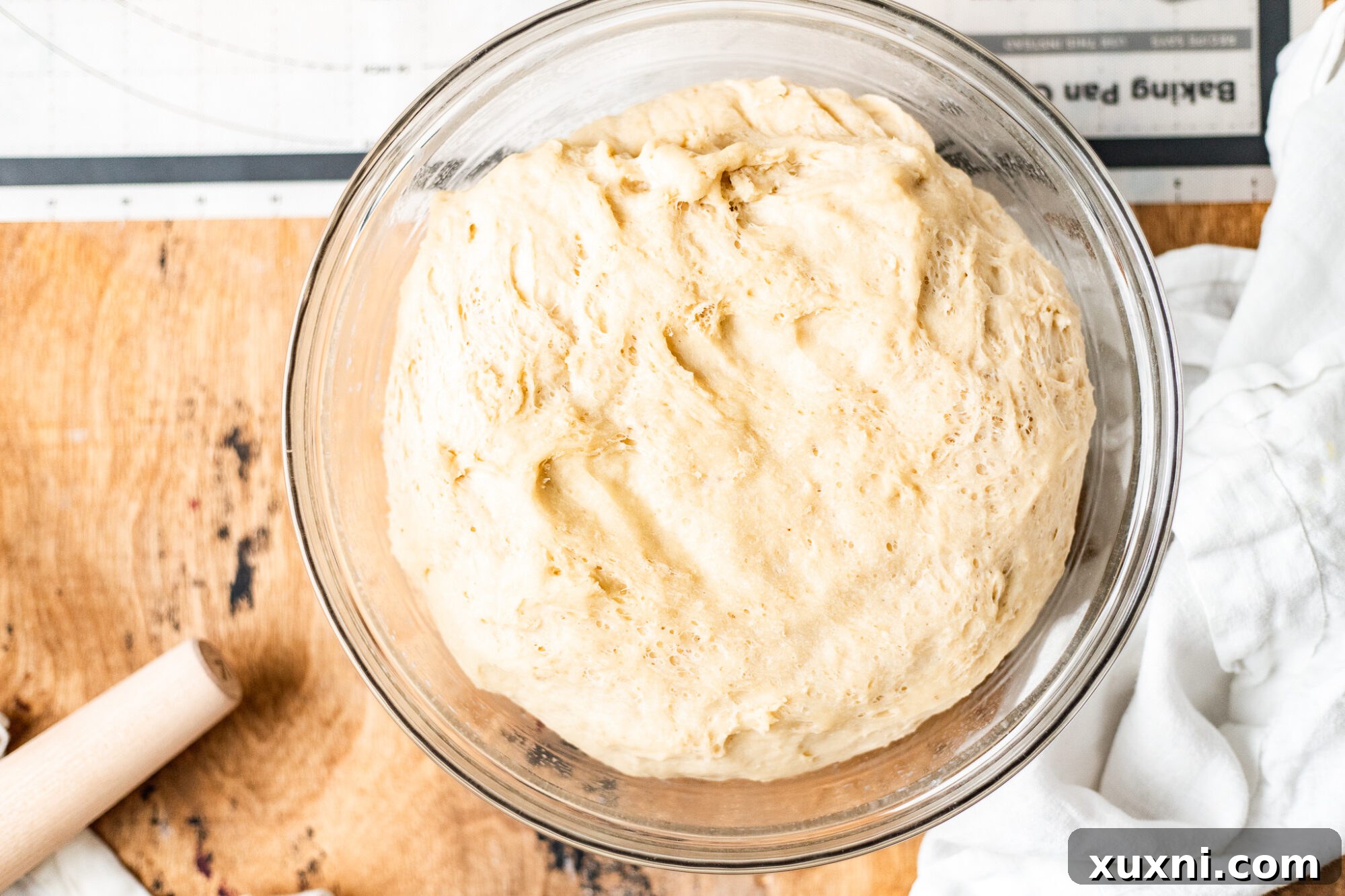 Vegan panettone dough on day two, after overnight rise