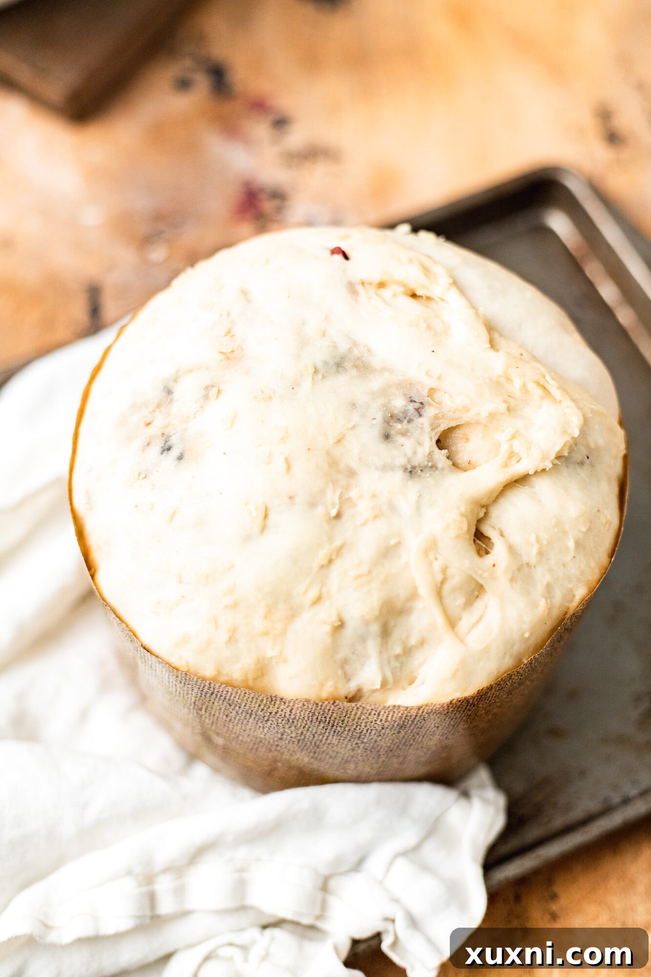 Vegan panettone ready for the oven