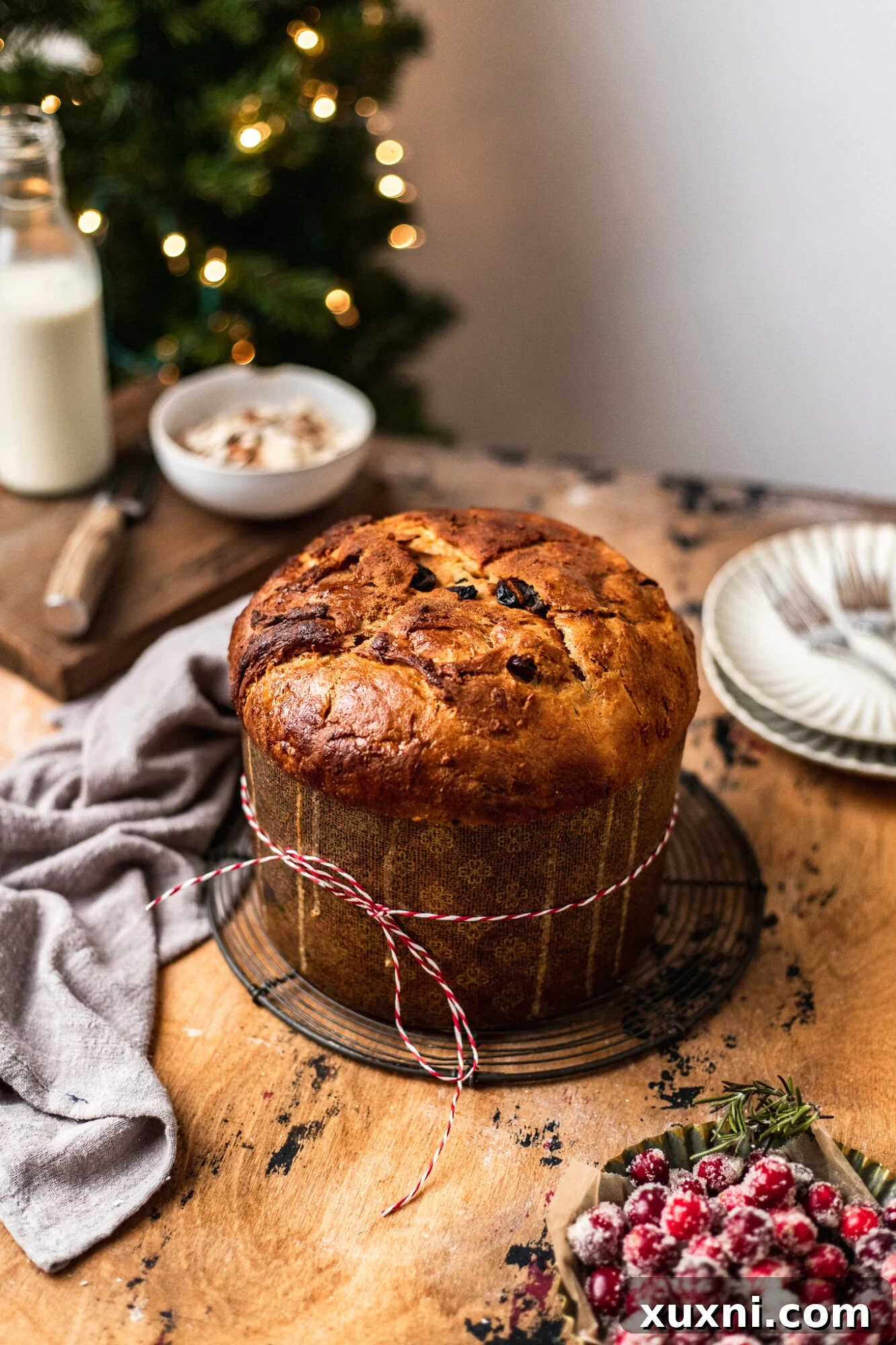 Freshly baked vegan panettone