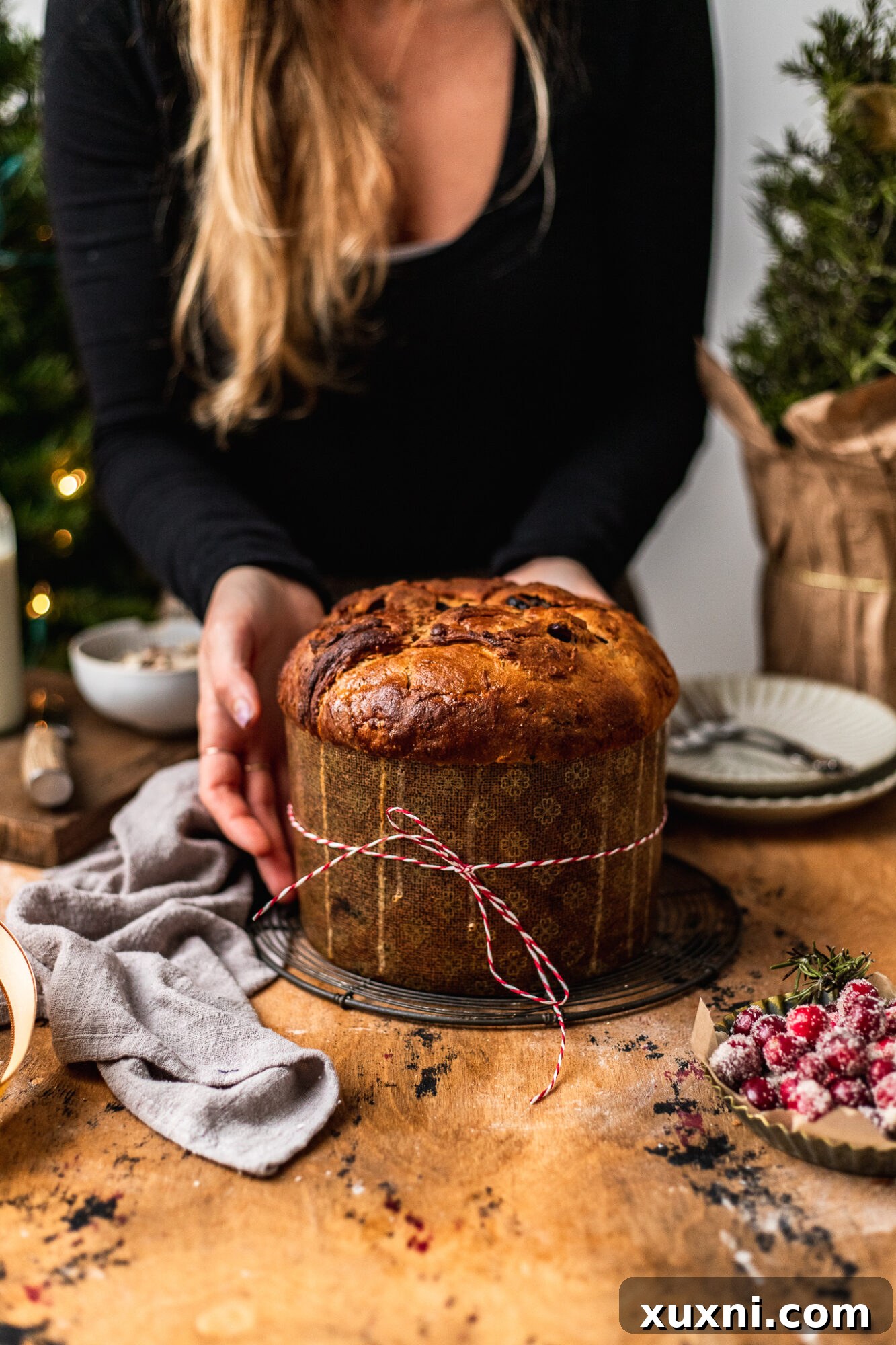 A whole vegan panettone, ready to be served