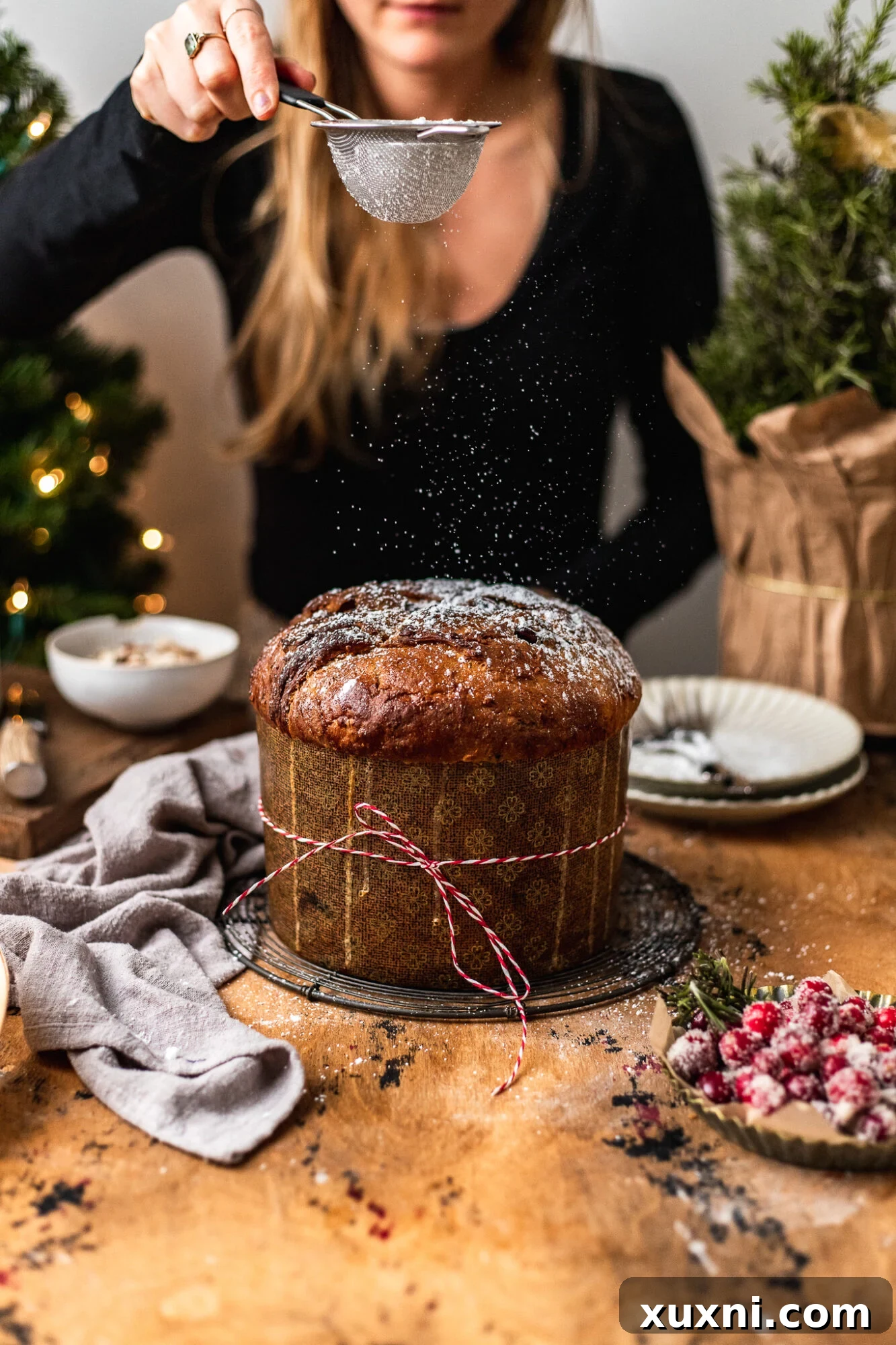 Panettone dusted with powdered sugar