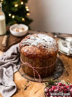 Amazing Vegan Panettone Recipe