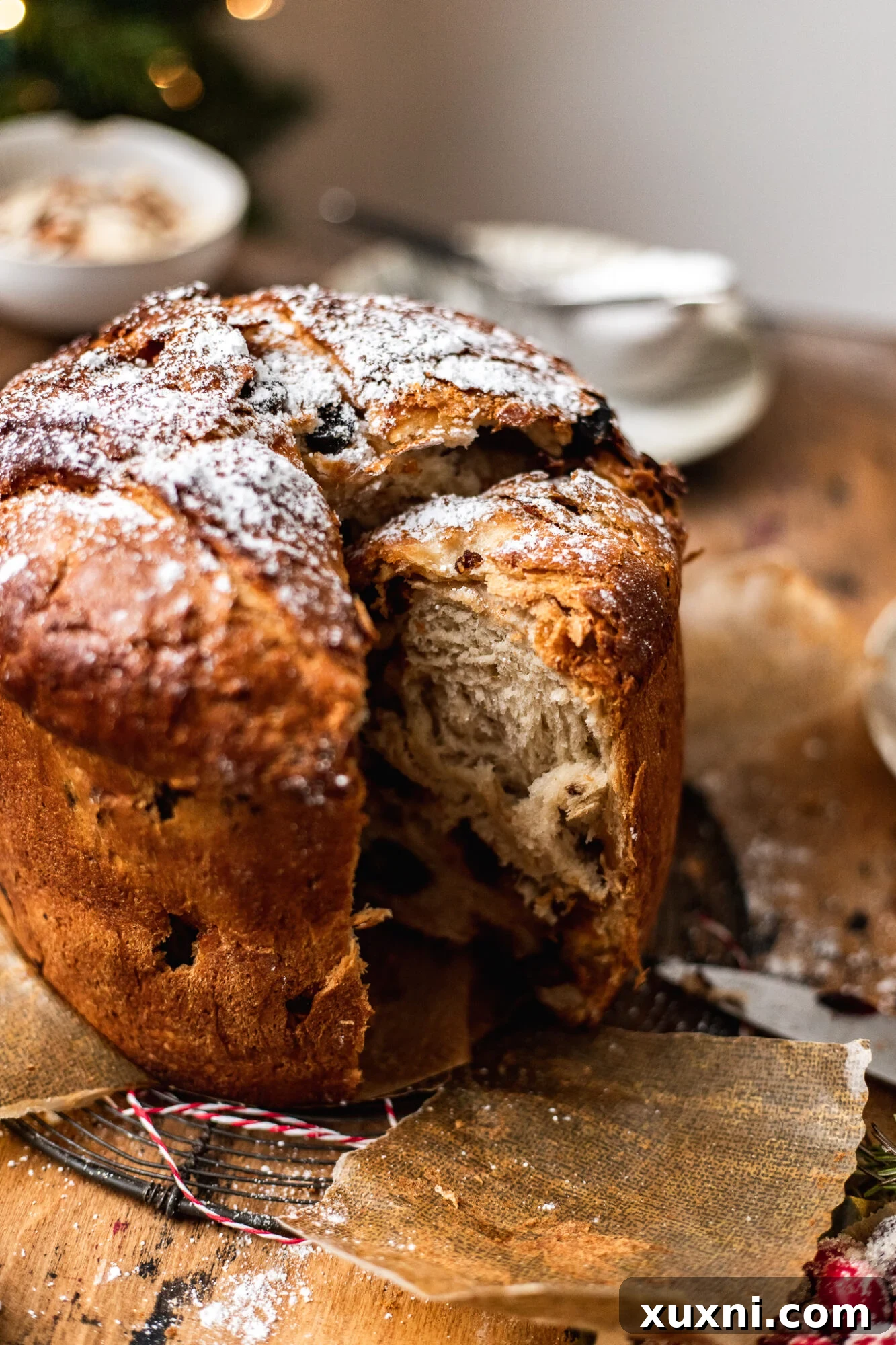 Slice of panettone bread