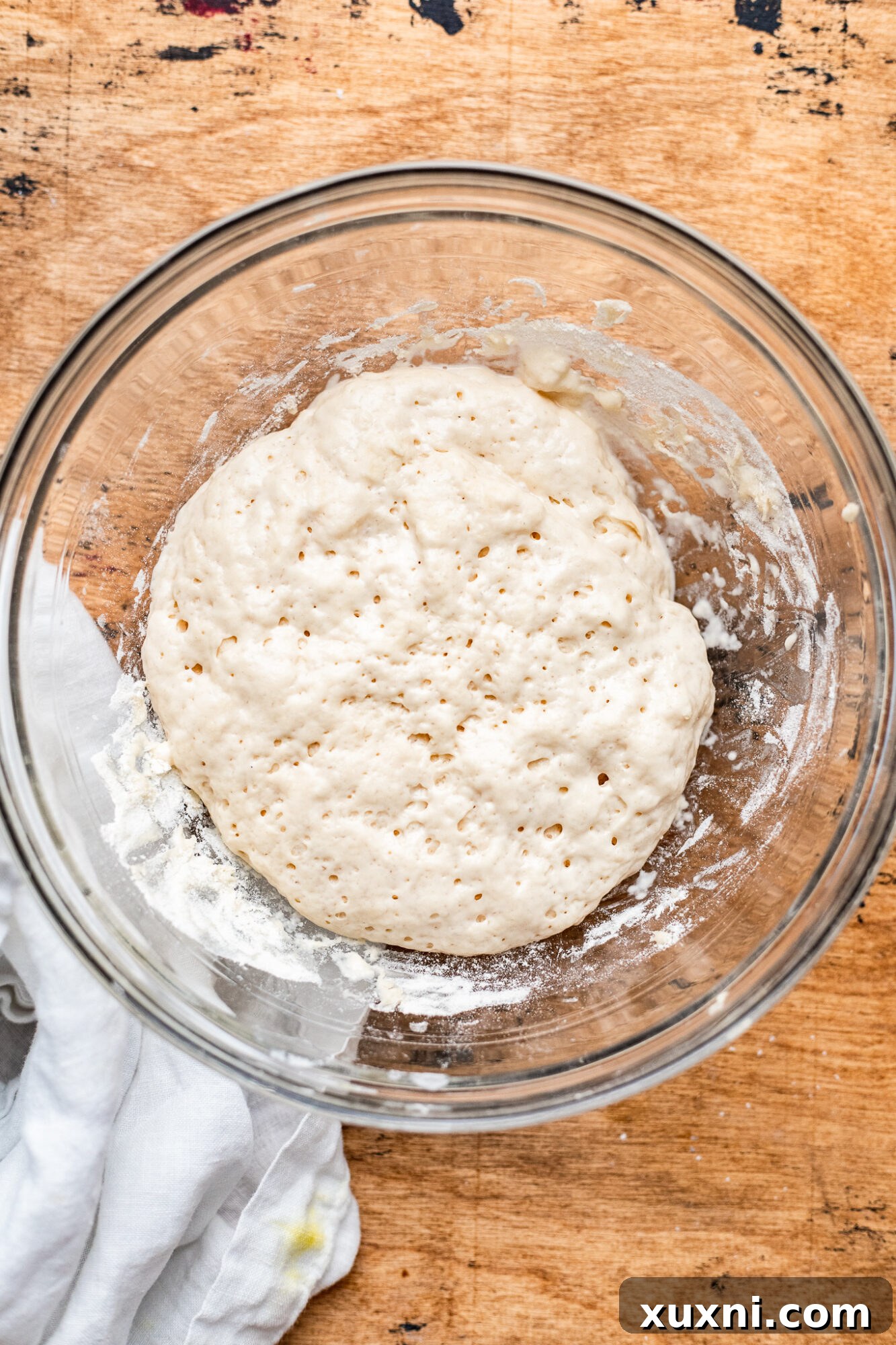 Active panettone starter dough rising