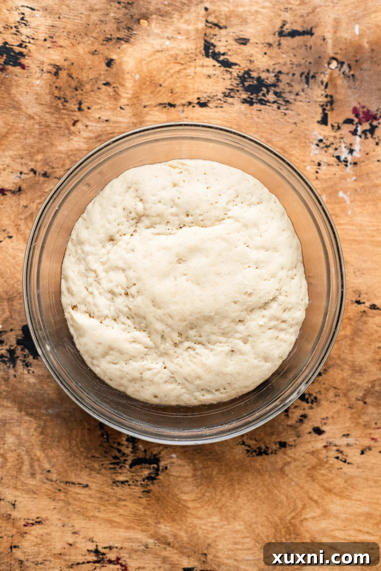 Vegan panettone dough after its first rise