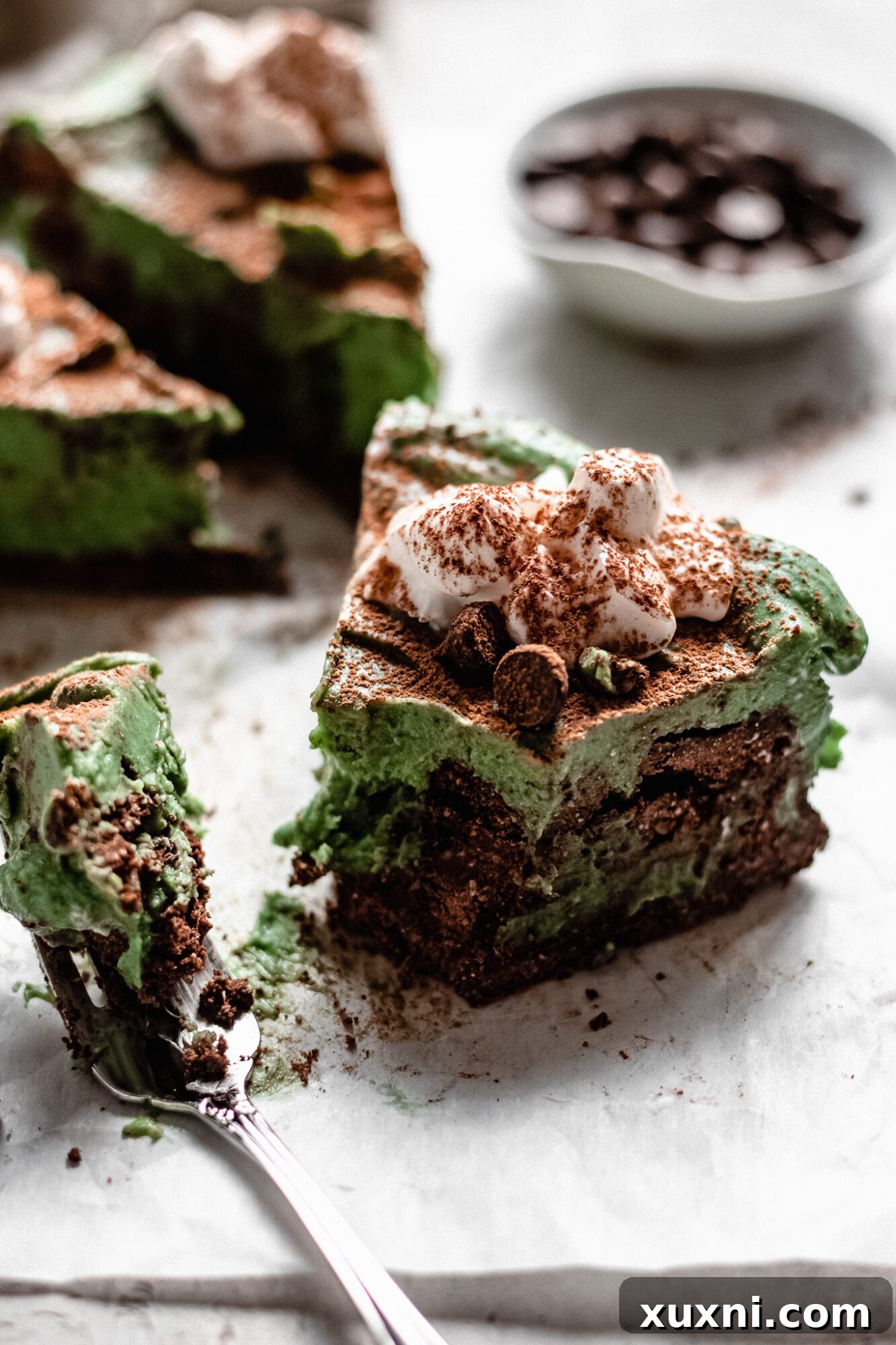 bite taken from grasshopper pie