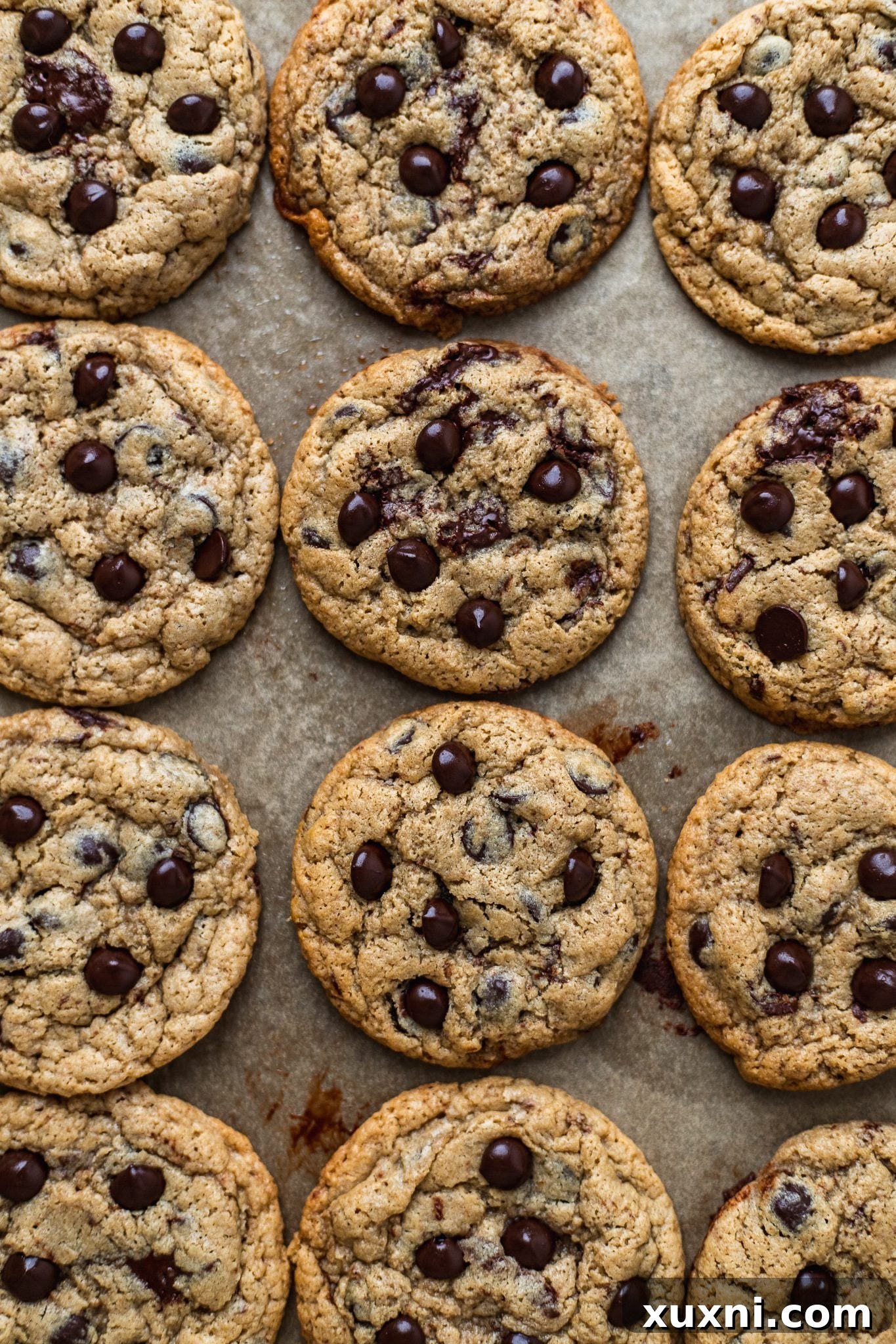 baked vegan cookies on baking sheet, golden and delicious