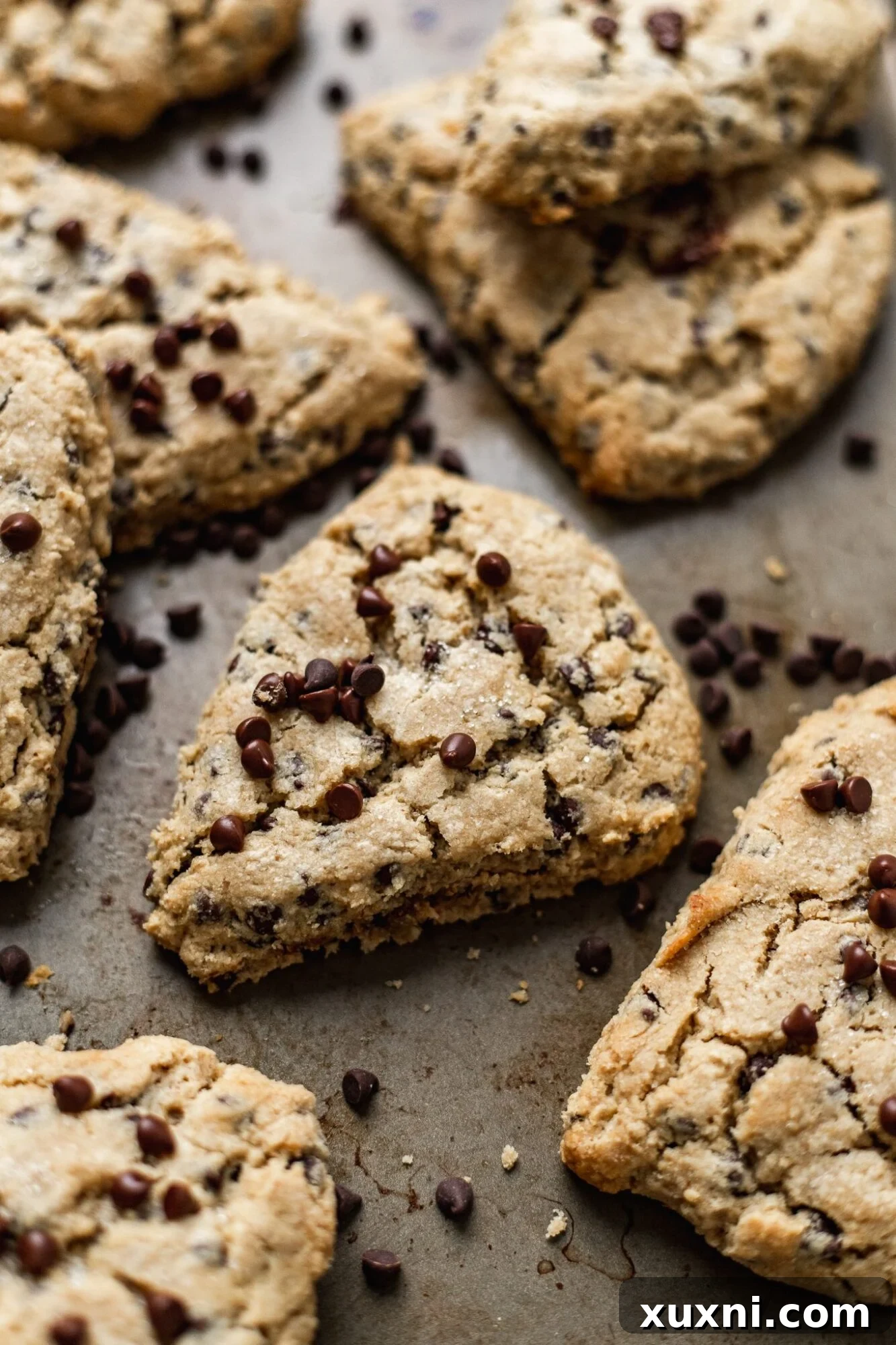 Ultimate Vegan Gluten-Free Chocolate Chip Scones 2 Best Vegan Chocolate Chip Scones Recipe (Gluten Free)