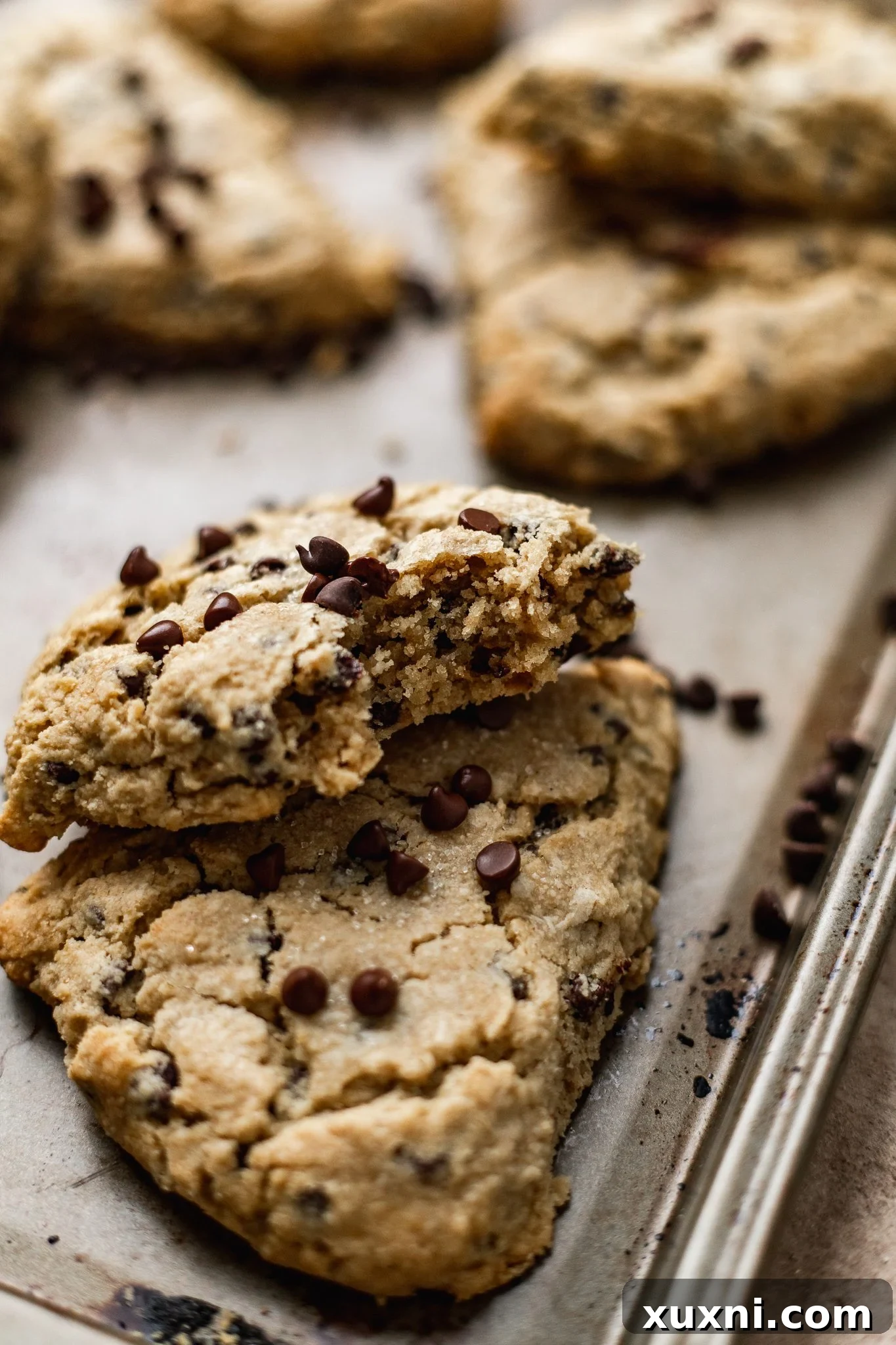 Ultimate Vegan Gluten-Free Chocolate Chip Scones 12 A delicious close-up of a bitten vegan chocolate chip scone, showing its flaky interior