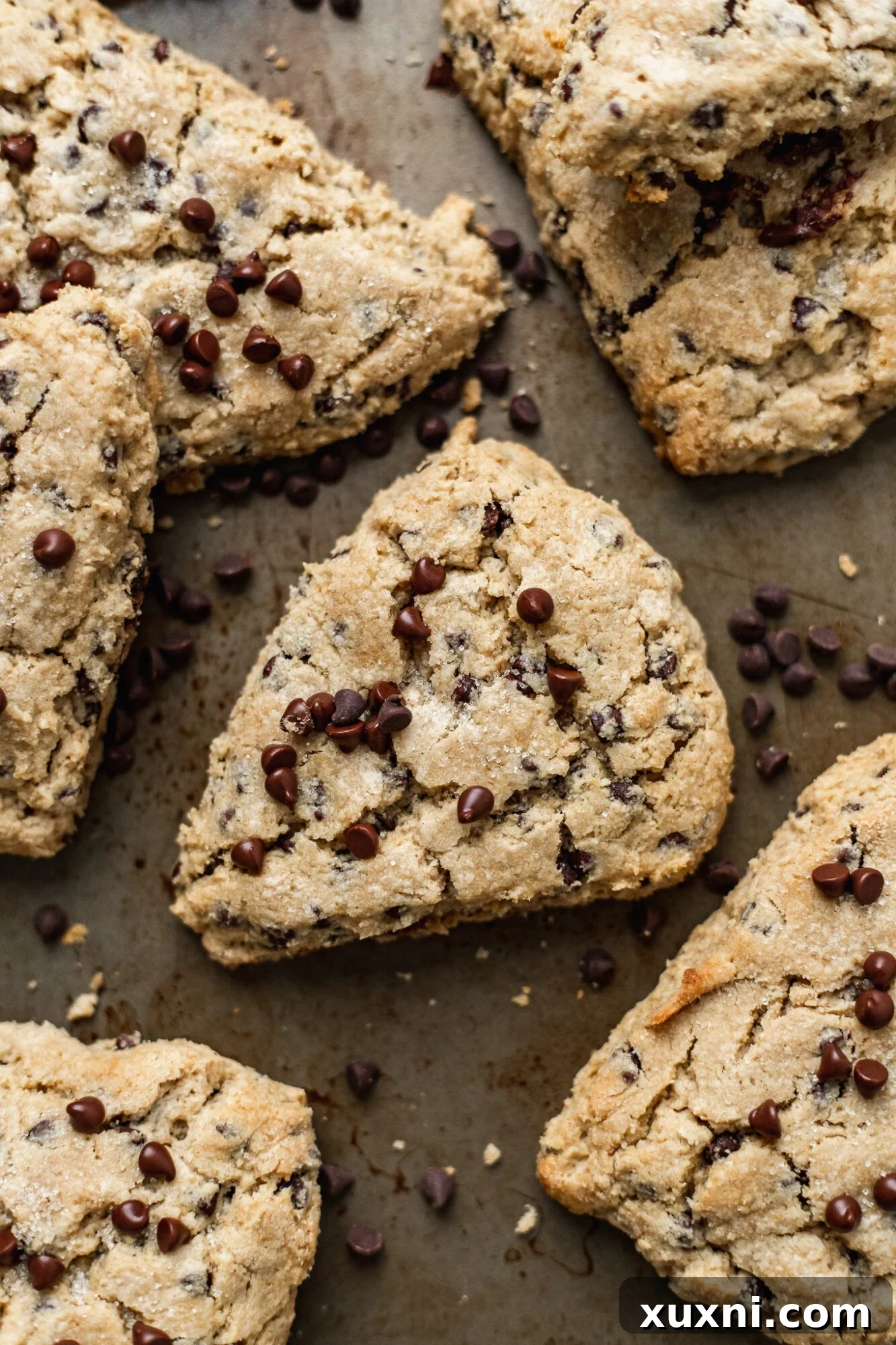 Ultimate Vegan Gluten-Free Chocolate Chip Scones 13 BEST Vegan Chocolate Chip Scones Recipe (Gluten Free)