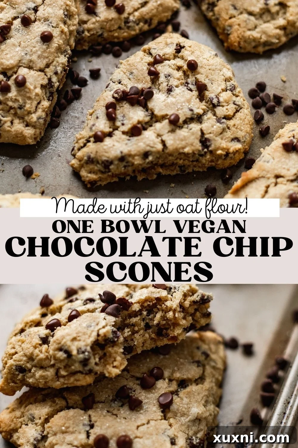 Ultimate Vegan Gluten-Free Chocolate Chip Scones 14 BEST Vegan Chocolate Chip Scones Recipe (Gluten Free) - Pinterest Pin Graphic