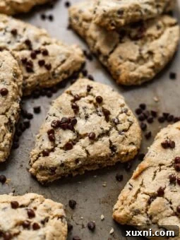 Ultimate Vegan Gluten-Free Chocolate Chip Scones 15 Vegan Chocolate Chip Scones Recipe (Gluten Free)