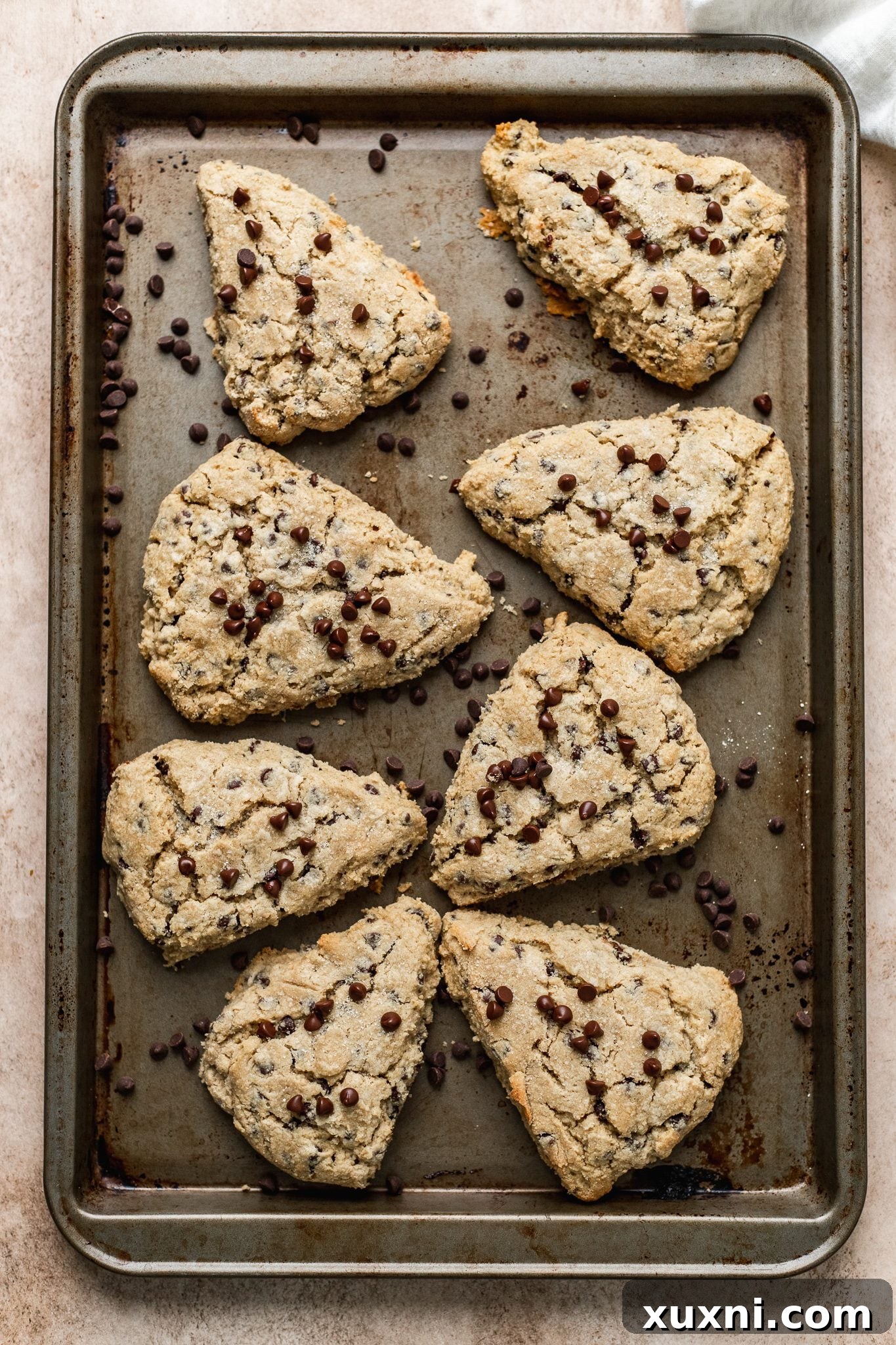 Ultimate Vegan Gluten-Free Chocolate Chip Scones 10 Freshly baked vegan chocolate chip scones, golden and puffed