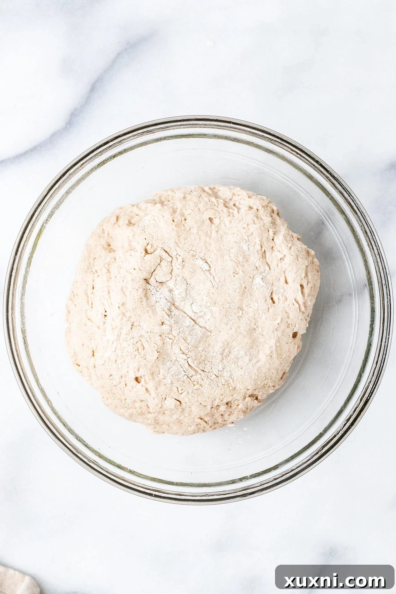 Gluten-free vegan dough ball placed in a greased bowl, covered and ready for its first proof.