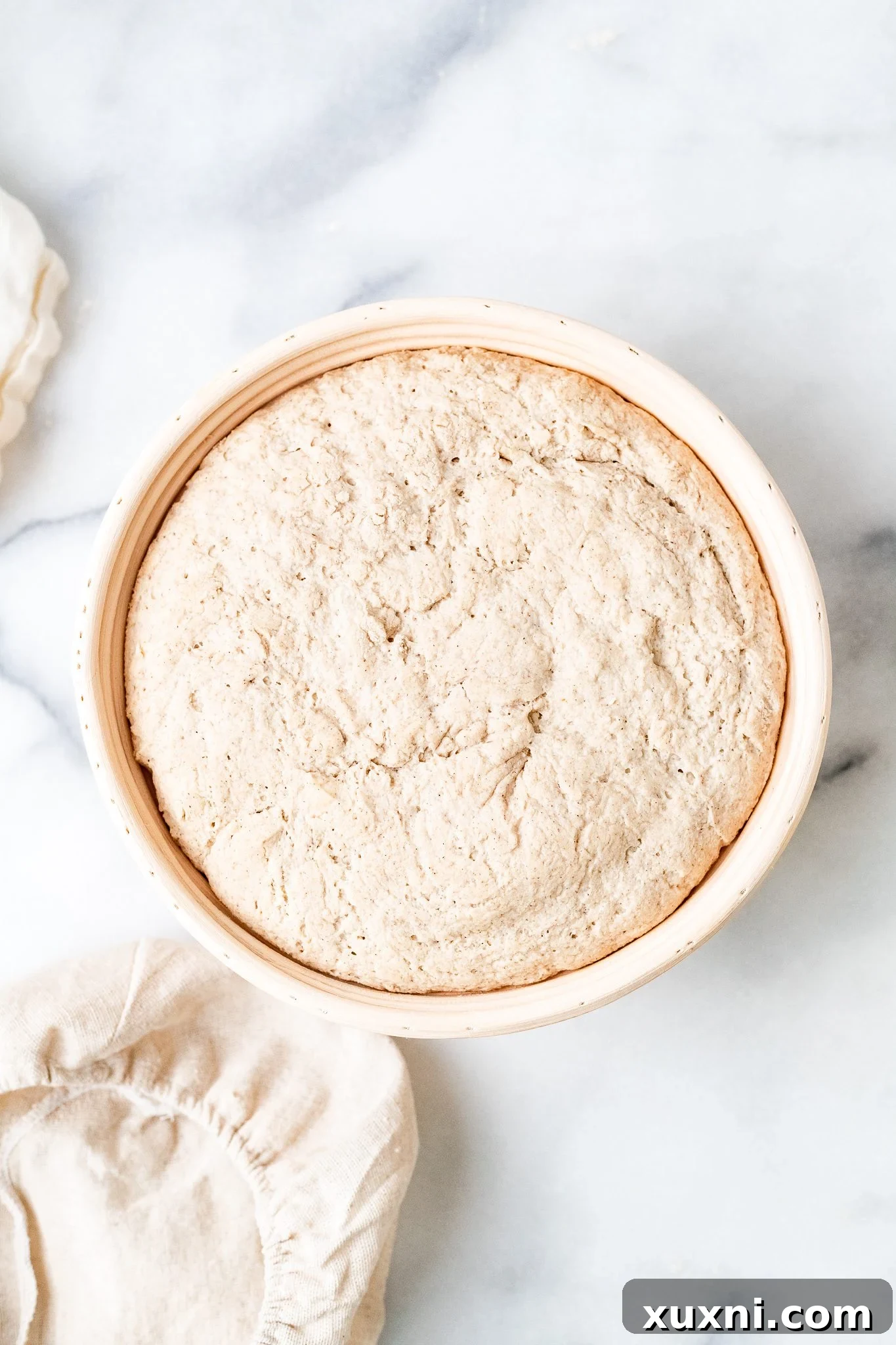 Gluten-free vegan dough after its second proof, showing a significant increase in volume within the proofing basket.