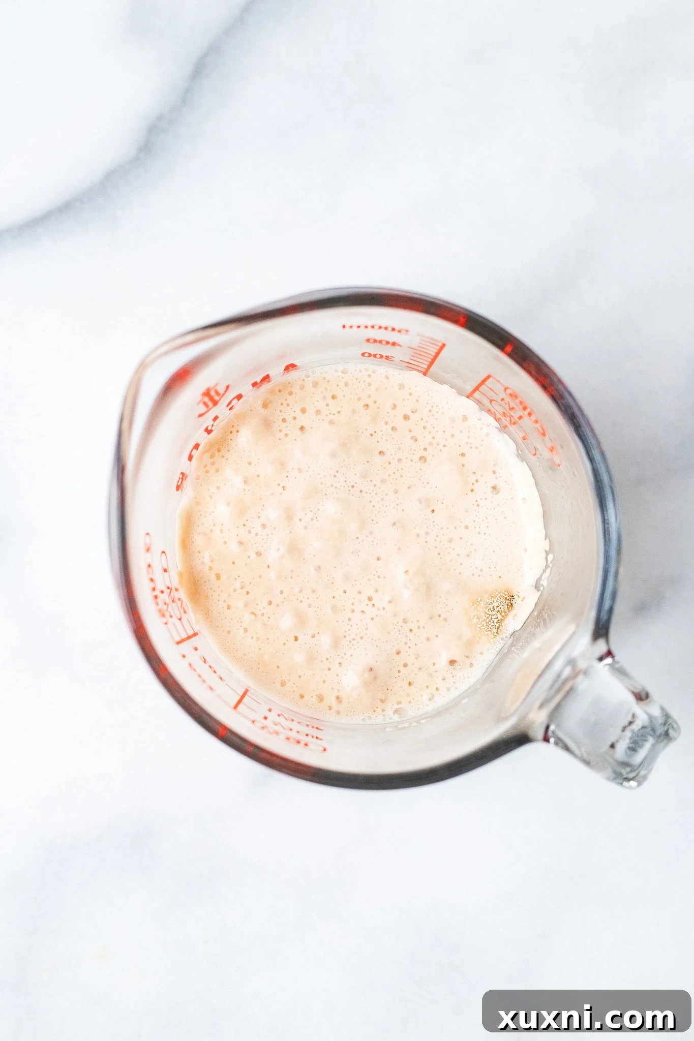 Close-up of bloomed instant yeast in warm water with maple syrup, showing a frothy top layer.