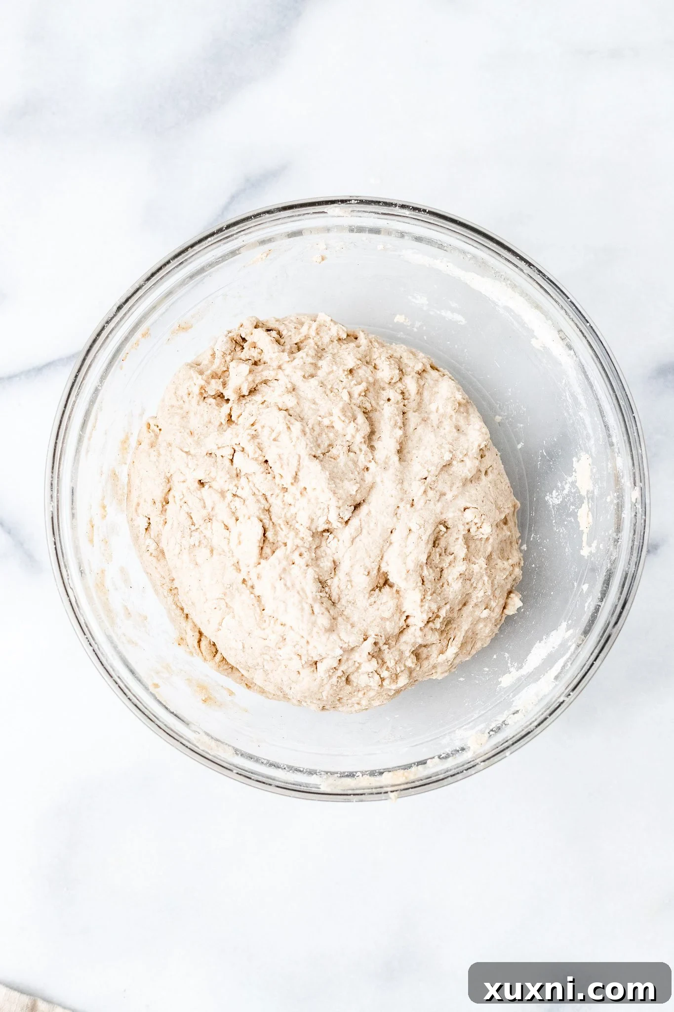 Gluten-free vegan dough after initial kneading, showing its slightly sticky but cohesive texture in a mixing bowl.