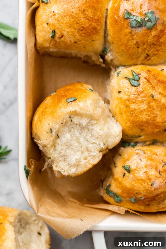 vegan garlic dinner rolls in a baking dish, golden brown and fluffy
