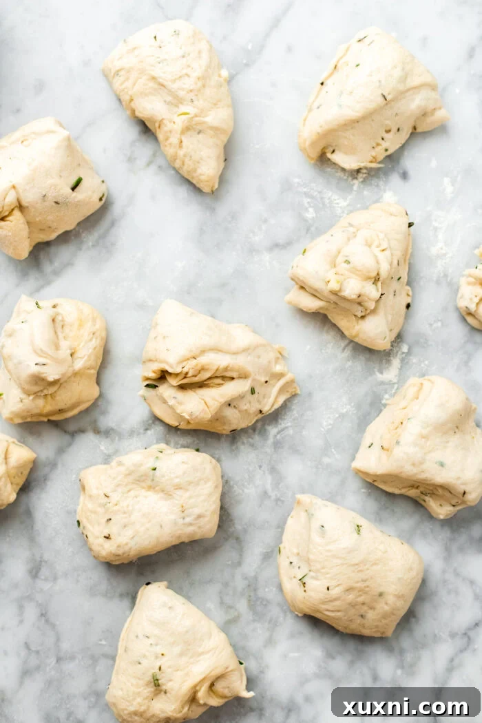 dough divided into even pieces for dinner rolls