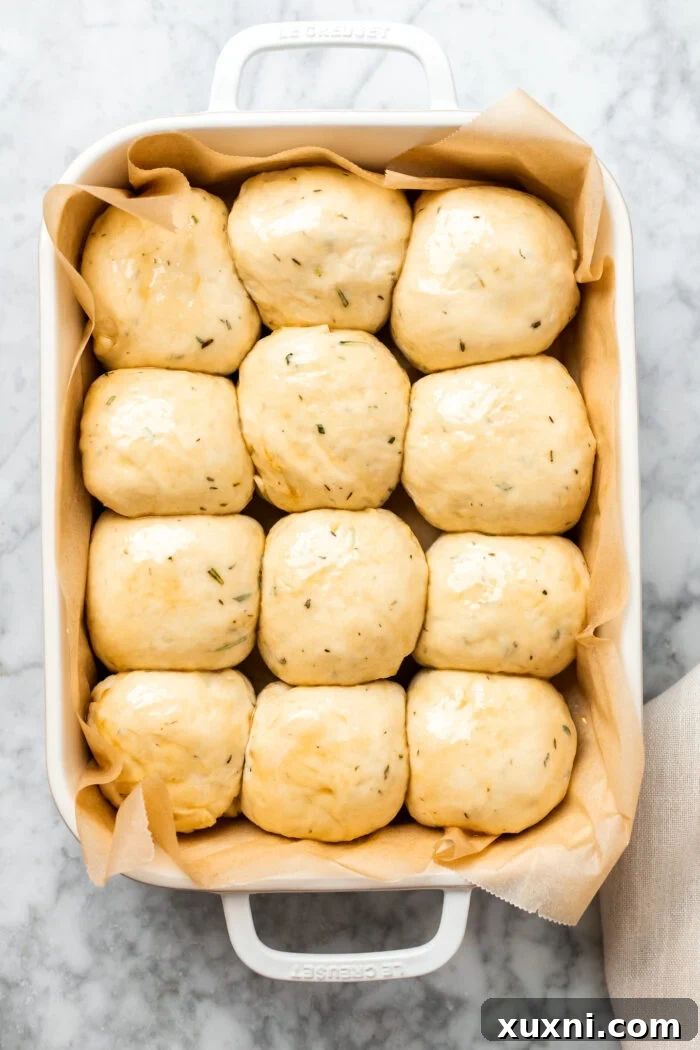 risen dinner rolls brushed with vegan 'egg wash' before baking