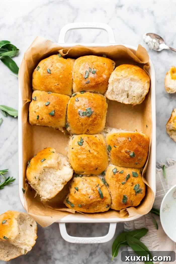vegan garlic dinner rolls pulled apart showing stretchy cheese
