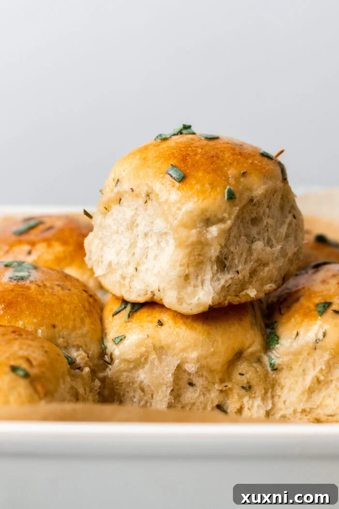 stacked vegan dinner rolls in a baking dish, showing off their fluffy interior