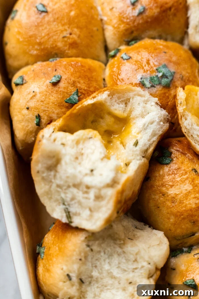 pulled apart dinner roll showing the gooey dairy-free cheese inside