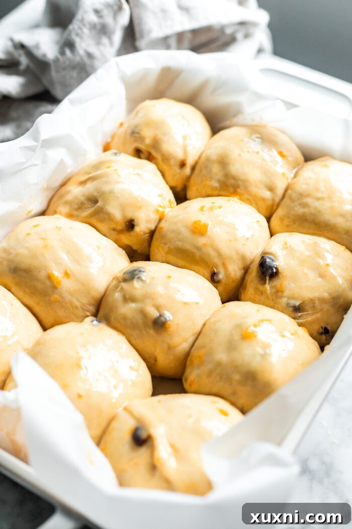 Whip Up Simple & Scrumptious Vegan Hot Cross Buns 16 doubled in size buns
