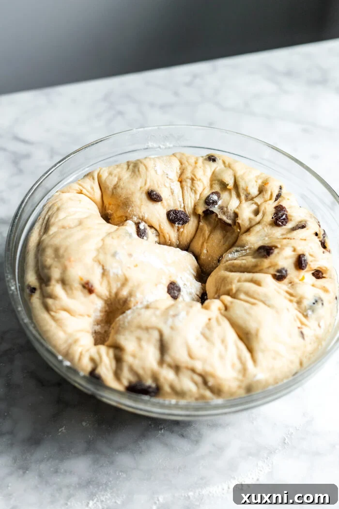 Whip Up Simple & Scrumptious Vegan Hot Cross Buns 9 dough after proofing